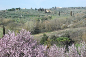 Gli Oleandri di Belfiore